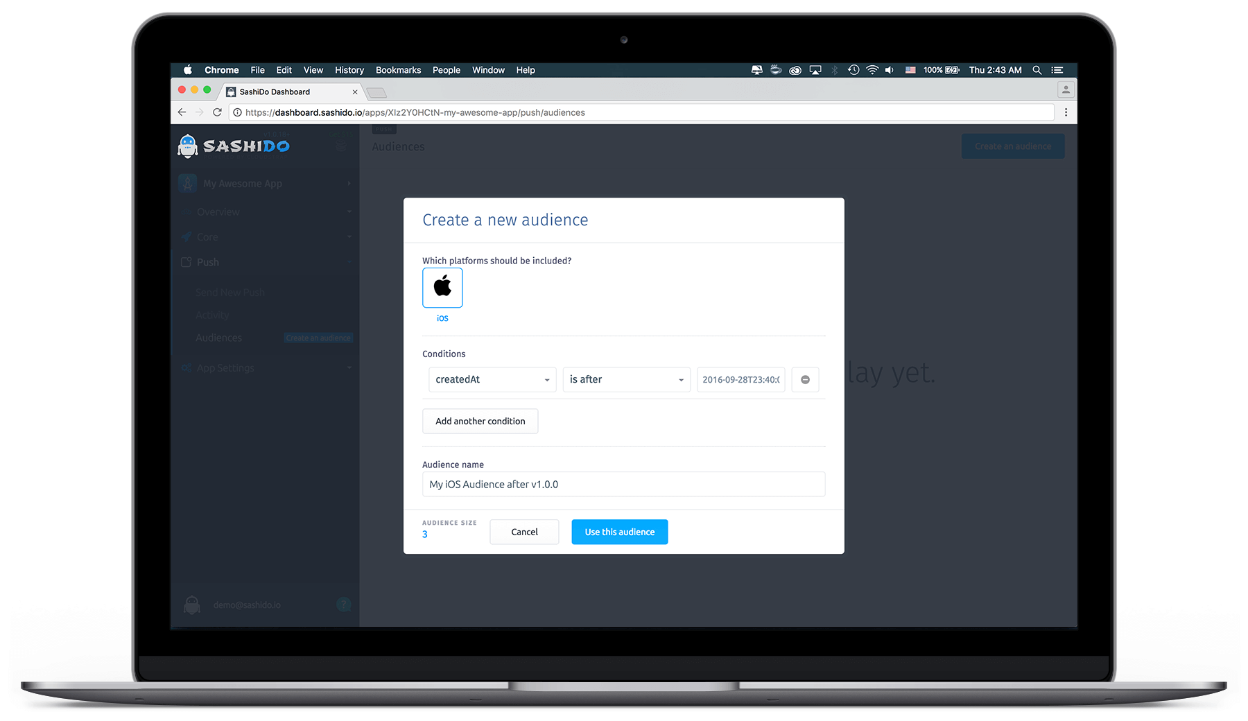 Push Notifications - Audiences